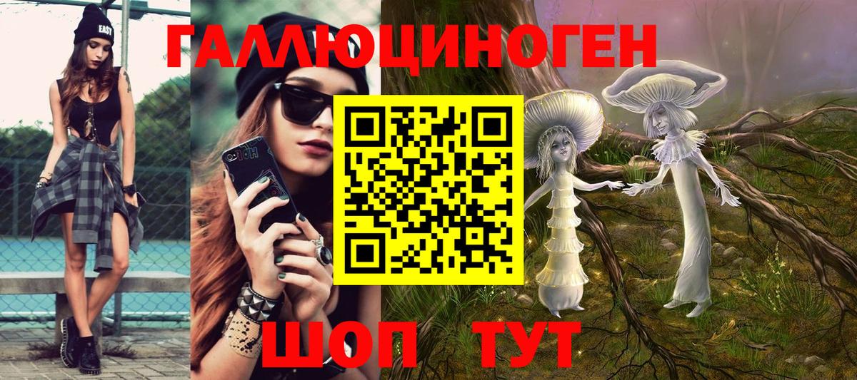 Ставрополь  где купить наркоту  Вход с VPN  Псилоцибиновые грибы Psilocybe 